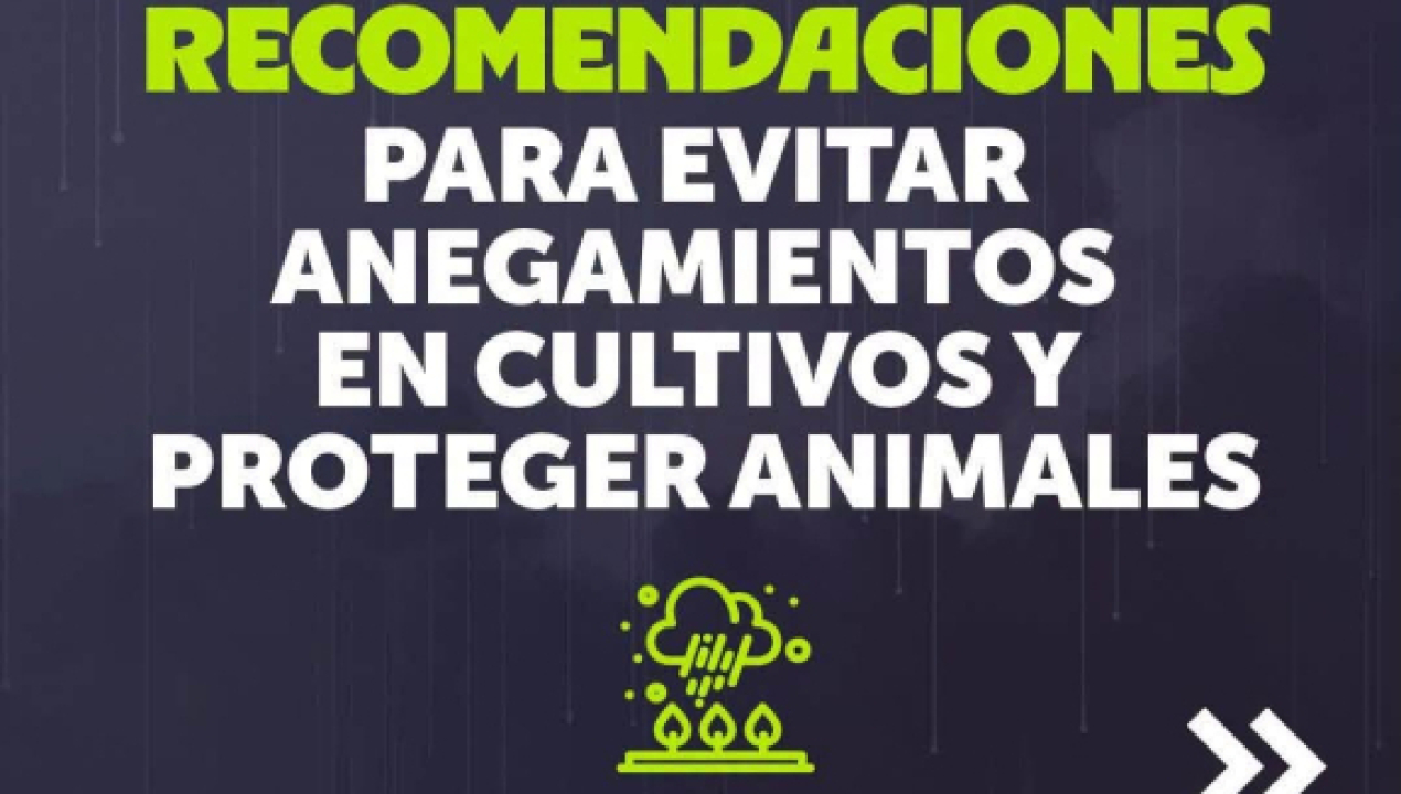 /ministerio-de-agricultura-entrega-recomendaciones-para-enfrentar-sistema