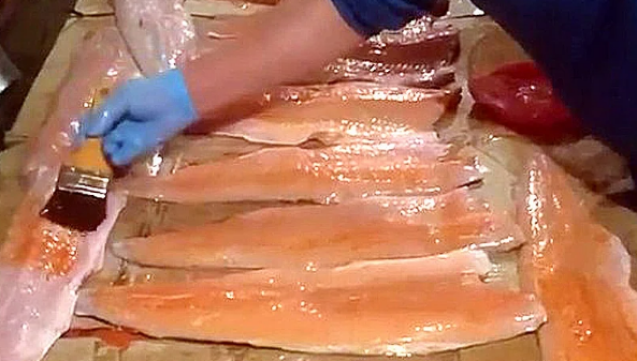/video-causa-alarma-en-puerto-montt-denuncian-maquillaje-de-salmones-para