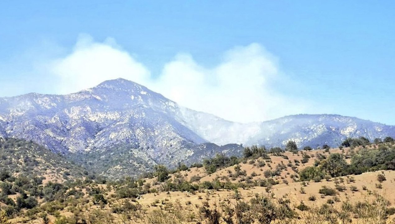 /mas-de-200-hectareas-afectadas-por-incendio-forestal-en-alhue