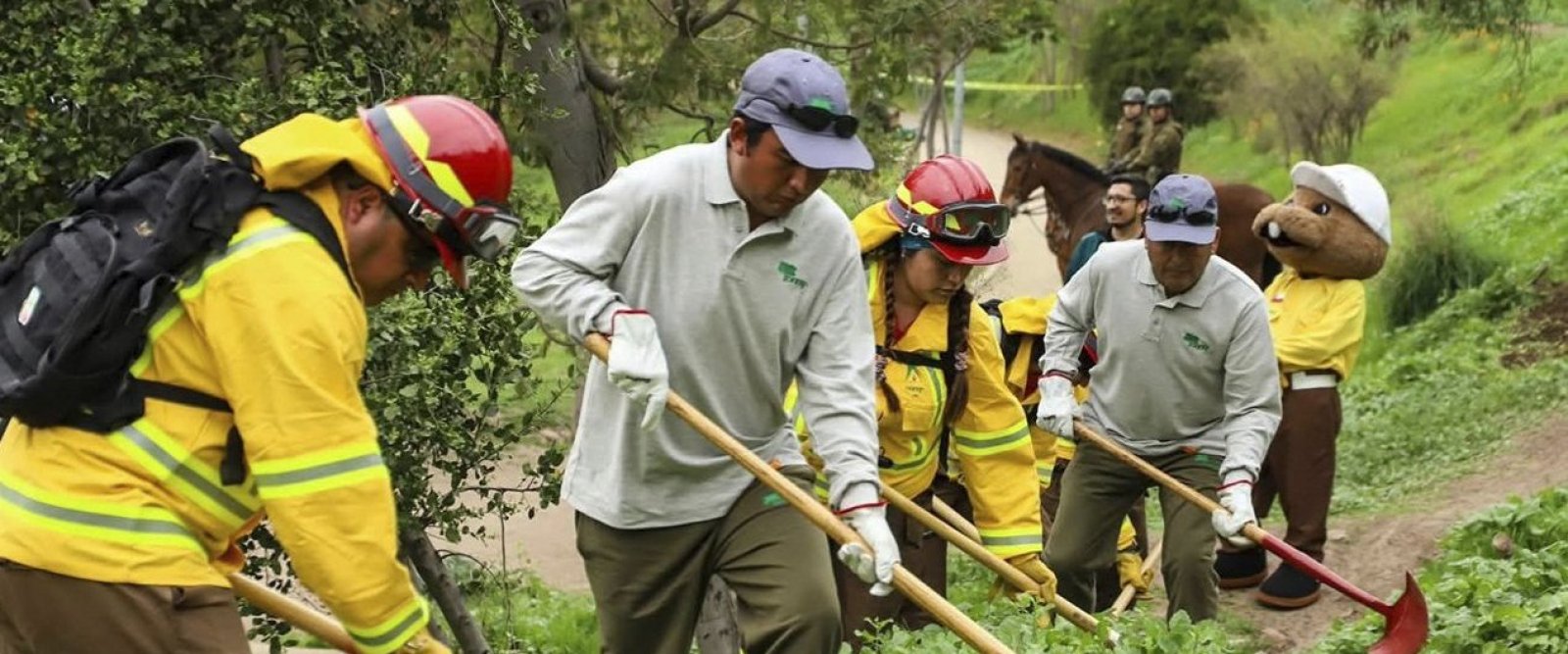 30 empleos para prevenir incendios en Melipilla