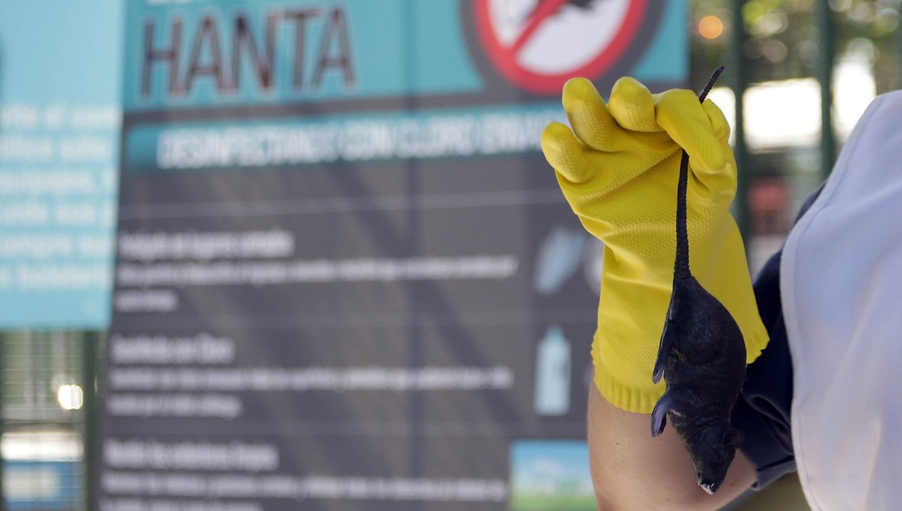 /actualidad/salud/alerta-sanitaria/ministerio-de-salud-decreta-alerta-sanitaria-desde-atacama-hasta-magallanes